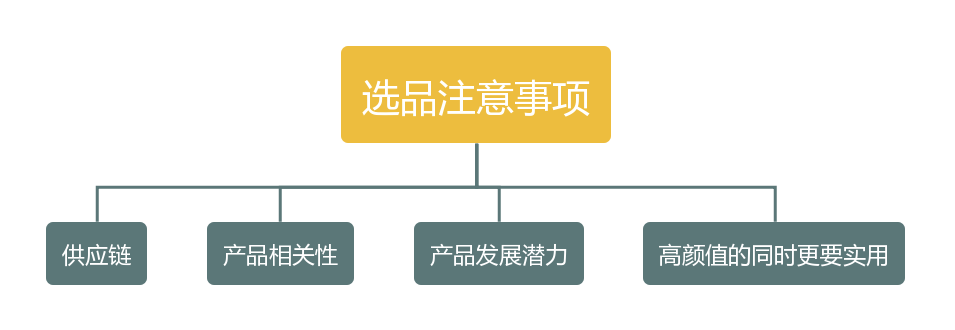 跨境独立站选品技巧有哪些？独立站选品注意事项有哪些 第1张
