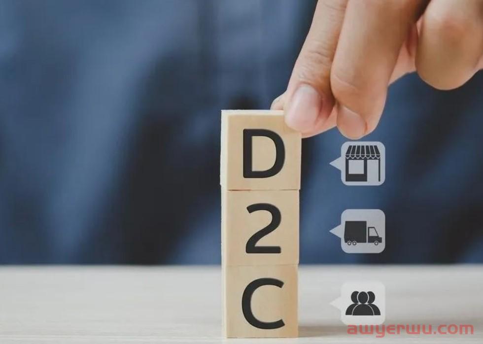 跨境独立站DTC电商入门通用策略，让你少走弯路更高效地布局市场