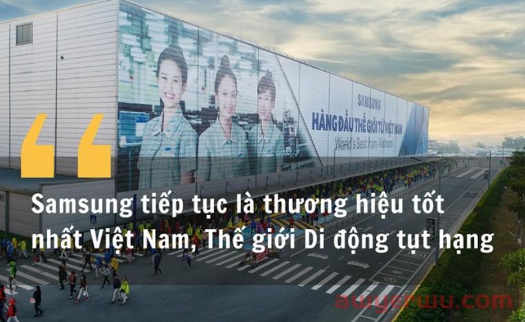 2022，哪些品牌在越南最受欢迎？