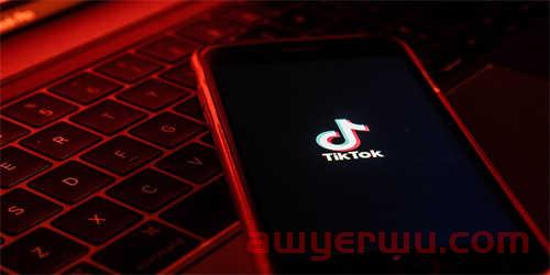 新手必看！打造TikTok爆款短视频的秘诀