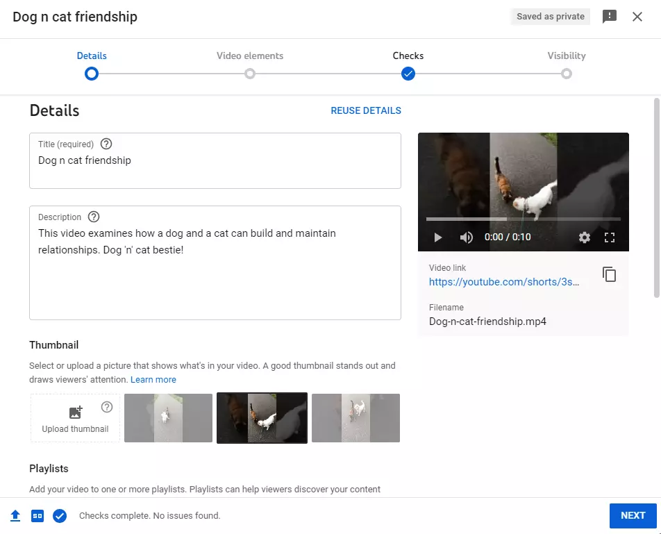 如何安排YouTube视频：可操作的分步指南 第22张