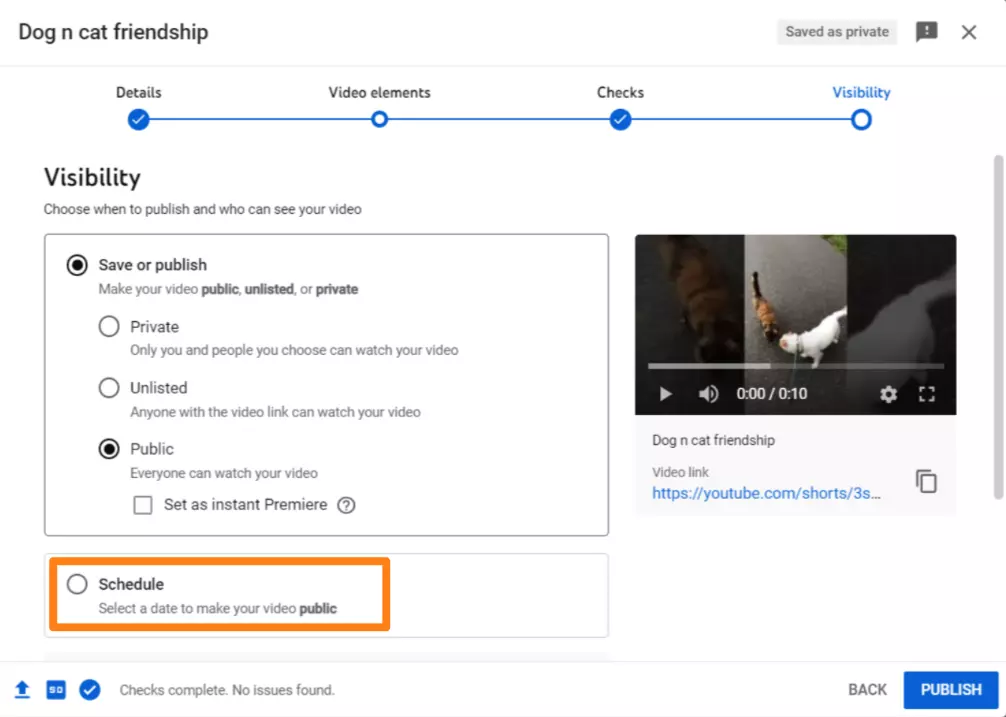 如何安排YouTube视频：可操作的分步指南 第25张