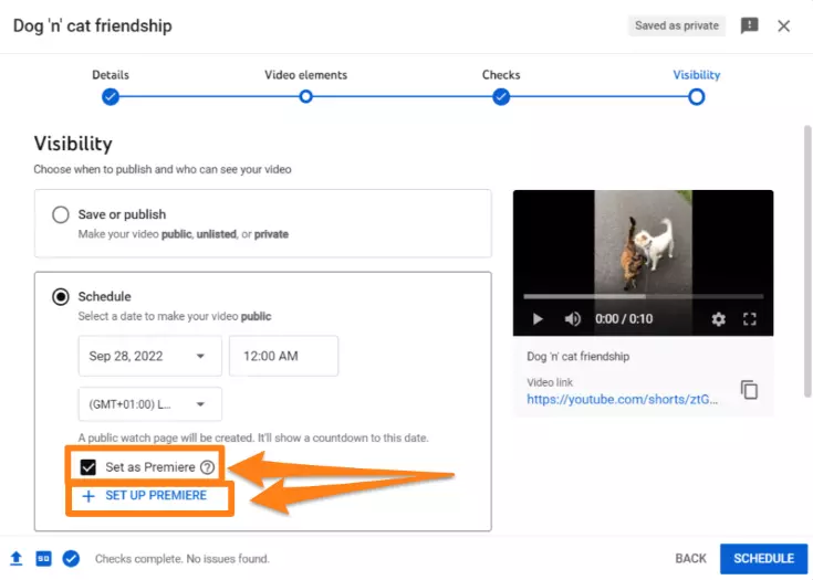 如何安排YouTube视频：可操作的分步指南 第27张