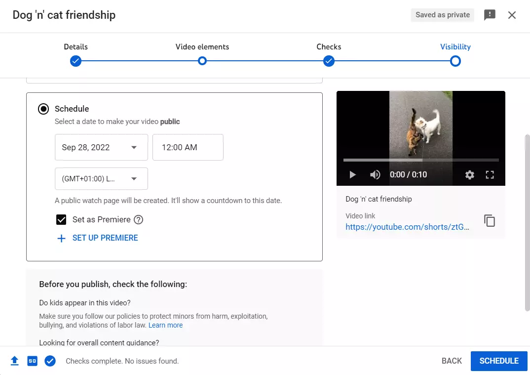 如何安排YouTube视频：可操作的分步指南 第29张