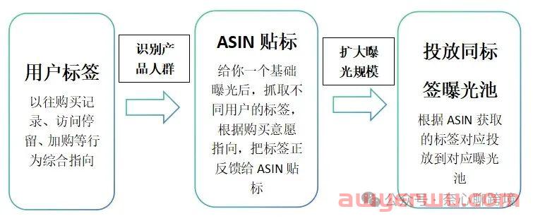 亚马逊COSMO算法后，99%运营不了解人群分层 第3张