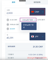 Wise人民币汇款指南(2024年)