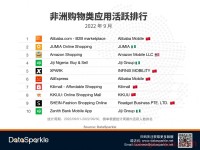 SHEIN入局近半年，非洲电商格局有何变化？