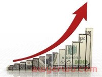 消费者不买单？亚马逊欧洲站面临强劲本土品牌竞争！