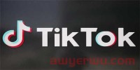 击败 TikTok 算法：应该尝试的 13 个最佳方法技巧