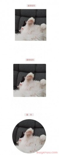 图片设计中，不同的图片形状是怎么影响客户感受的？