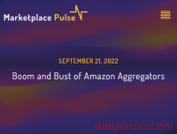 亚马逊品牌收购商陷入萧条！2022将成生存之年