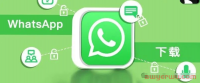2024 WhatsApp使用技巧,解决 WhatsApp下载、注册等难题