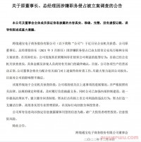 跨境通原董事长徐佳东被立案调查，旗下gearbest被传欲卖给拼多多