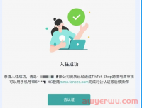 全托管模式解读之TikTok ！