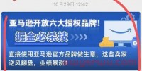 亚马逊宣布停止品牌加速器和第三方销售伙伴授权品牌”两个项目,单方面毁约引卖家震怒!但也有人叫好?