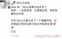 四个月2000万人下载的电商新平台Temu，跨境卖家纷纷涌入