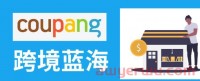 全球电商企业中,年增长率排名第一竟然是Coupang?