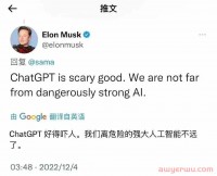 自然语言处理专家ChatGPT:教你做品牌出海独立站优化