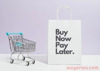 Shoptop携手Oceanpayment，引领｢先享后付｣新风潮！