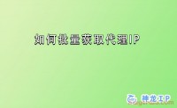 小白必看!海外静态ip和动态ip解析!