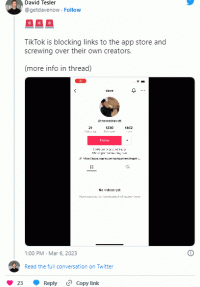 TikTok这类外链不能跳转?对独立站有影响吗?