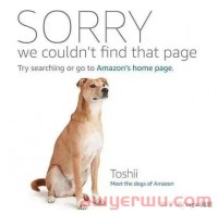 亚马逊listing里出现竞争对手品牌名,我们应该如何应对及规避侵权?