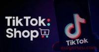TikTok Shop入驻模式怎么选？