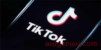 社交媒体收入大增长！TikTok领跑全球！