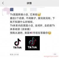拼多多的Temu来了，TikTok的美国小店还有多远？
