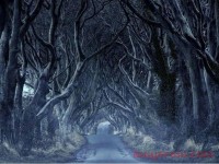 为什么说跨境电商行业是黑暗森林？