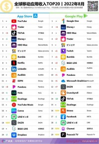 8月全球应用｜TikTok营收大跳水，欧洲“滴滴”领跑投放大战！