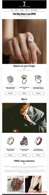 独立站9大邮件营销实例：从新店开张到折扣促销