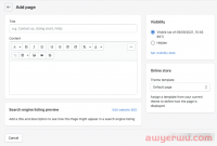 跨境新卖家打算开Shopify独立站时需要重点关注哪些事项?