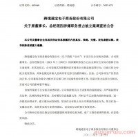 跨境通原董事长，环球易购创始人徐佳东涉职务侵占被立案侦查！本人最新回应：诬告/陷害