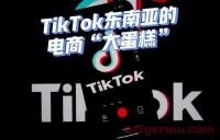 社交与电商，TikTok的冰火两重天