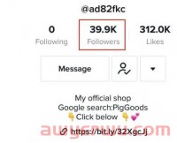 独立站卖家如何利用TikTok赋能流量?