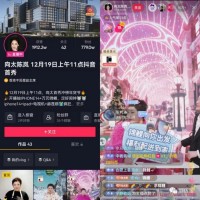 “彪悍富婆”向太直播带货首秀,三小时卖出一个亿