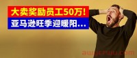 旺季销售额5100万!利润提升10个点！大卖奖励员工50万!亚马逊卖家破寒冬、迎暖阳！