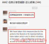 大量品牌被移除！这难道是亚马逊品牌备案的“二审”？
