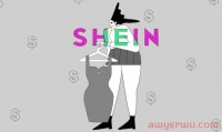 出海者逐利快时尚风口:一场盛大的SHEIN模仿秀