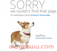 亚马逊链接被恶意投诉至下架！如何有效解决并做好预防？