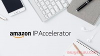 Amazon IP Accelerator 知识产权加速器是什么? 亚马逊卖家保护产品专利 / 商标的实用工具!