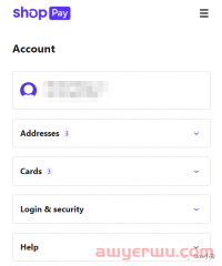 什么是 Shopify 快捷结账方式 Shop Pay?