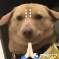 全网“通缉”！流氓跟卖惹众怒，140个店铺多家店铺接连遭殃！