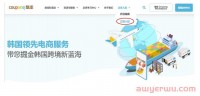 Coupang中国卖家快速开店指南(2023年)