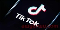 什么是 TikTok 直播购物?
