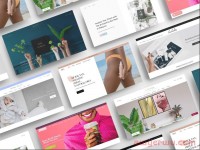 爆品独立站是什么?怎么做才能不被坑?