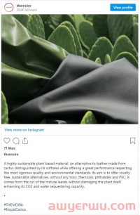 Instagram营销：提高产品销量的13种图片技巧