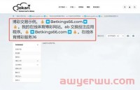 已有中国卖家中招！数百万独立站被黑，正在“悄悄死去”