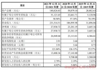 霸榜亚马逊年入23亿！4年净利翻61倍！深挖“便携储能第一股”的背后......
